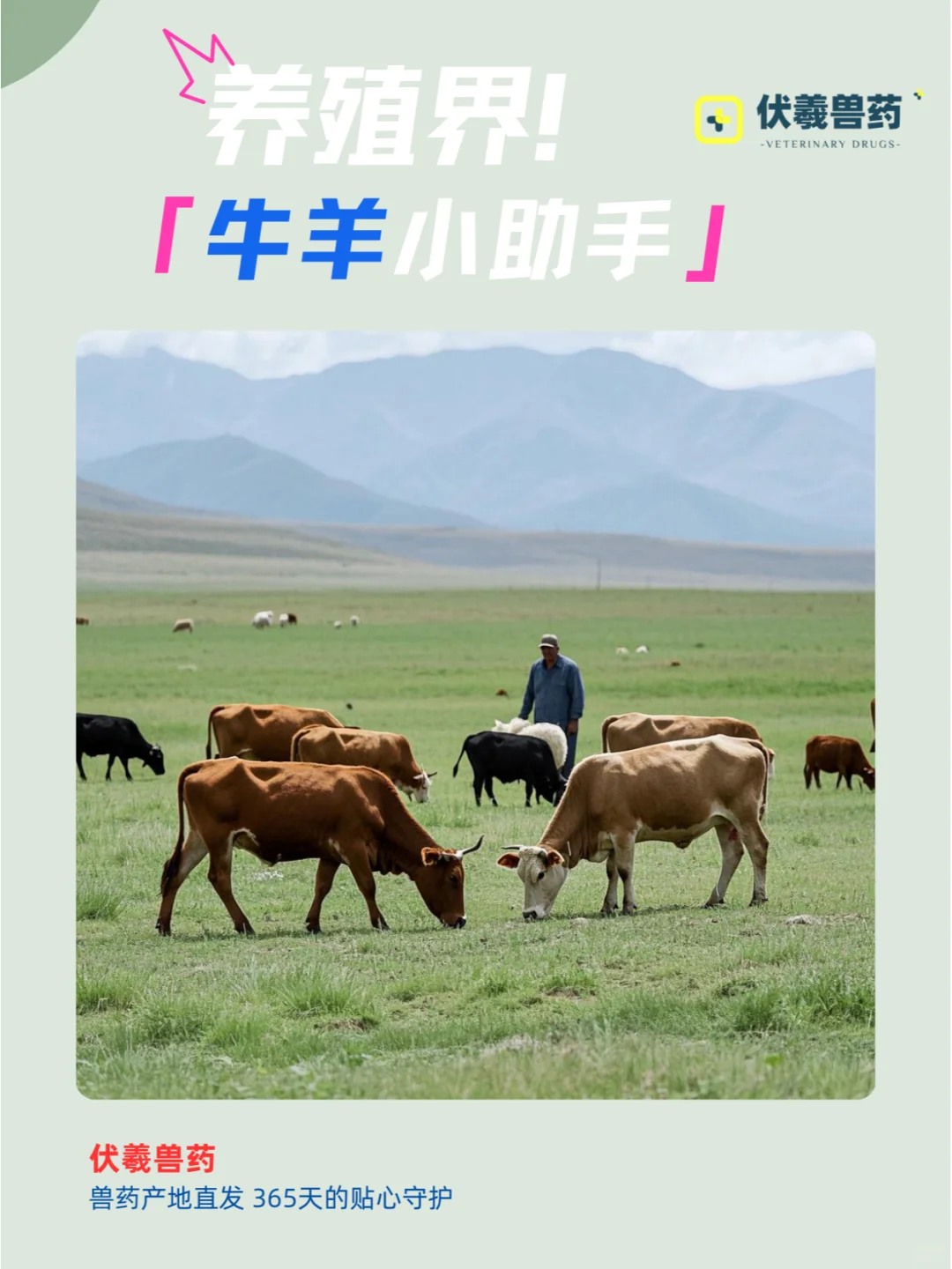 兽药💊 | 牛羊养殖小助手✨