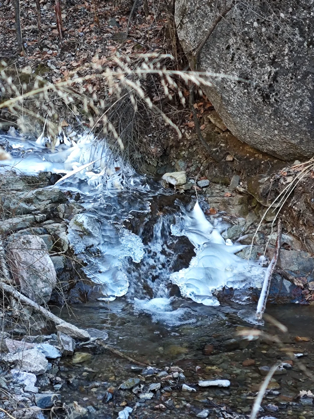 林学毕业工作环境