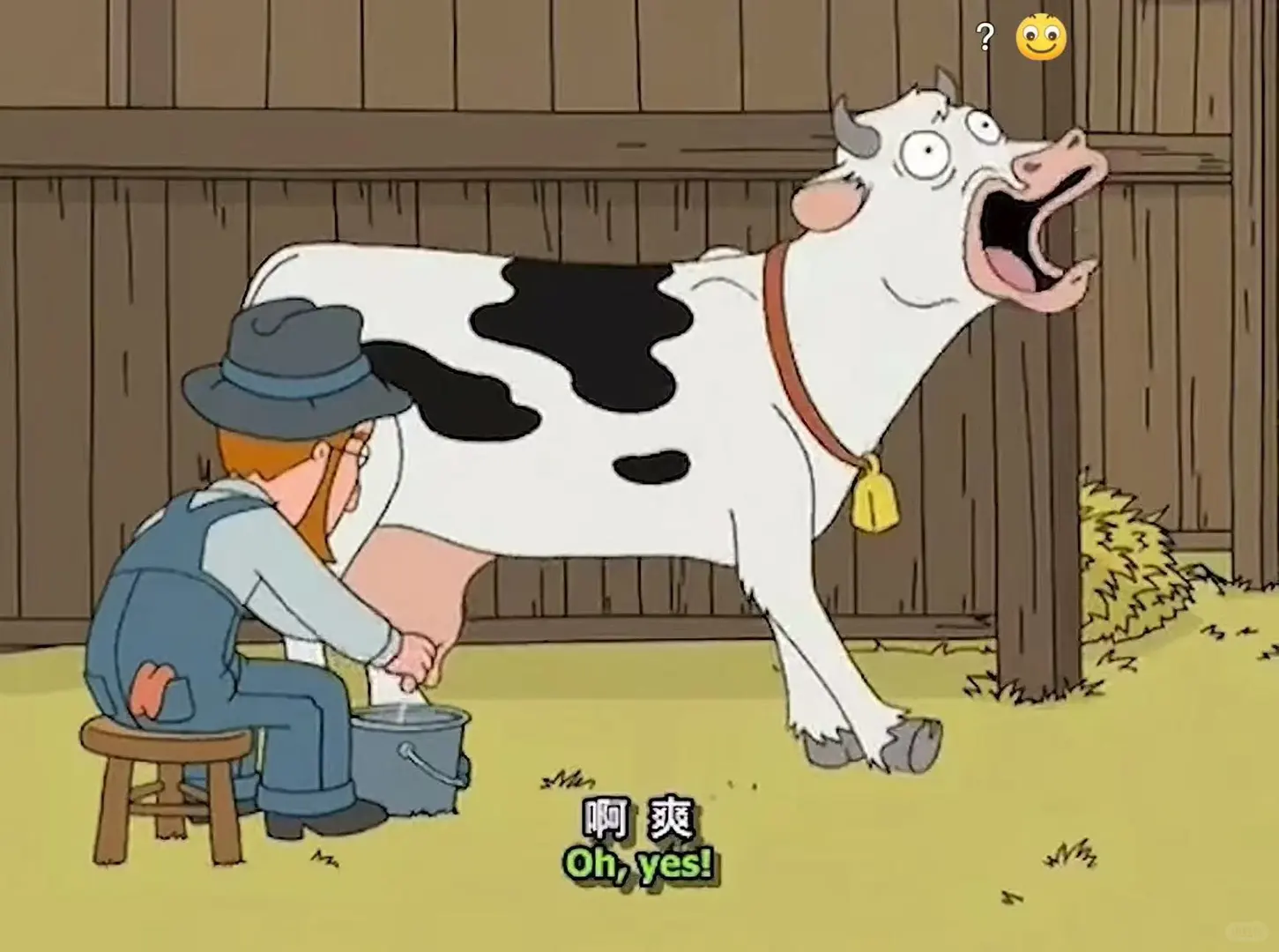 杭州牧场收牛奶啦