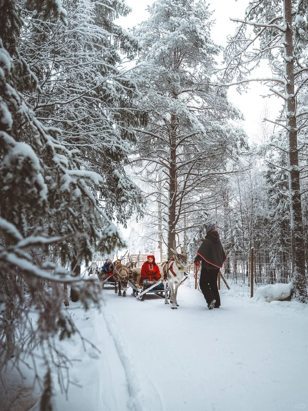 北欧三国7日邂逅北极光‼️穿越童话圣诞村