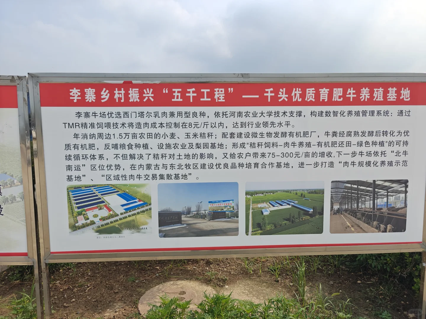 乡村振兴的“牛”故事 🐂✨****