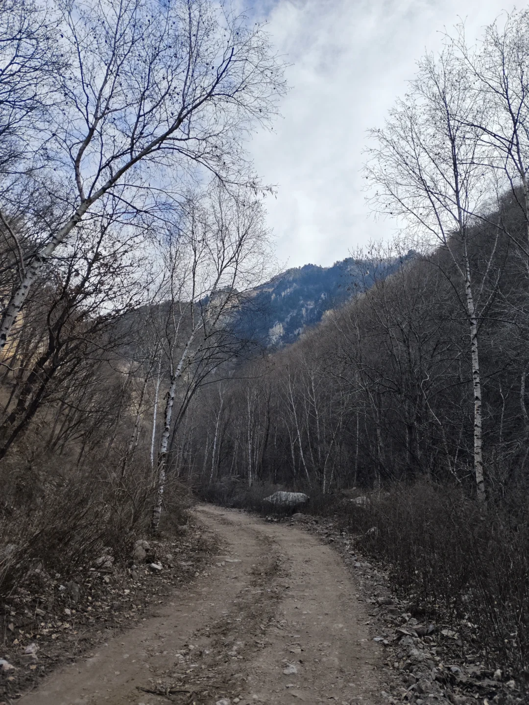 林学毕业工作环境