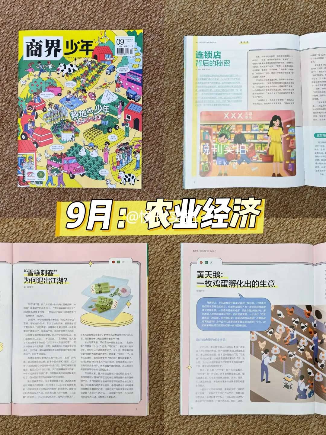 诞总力荐‼️新手小白也能读懂的经济学💰