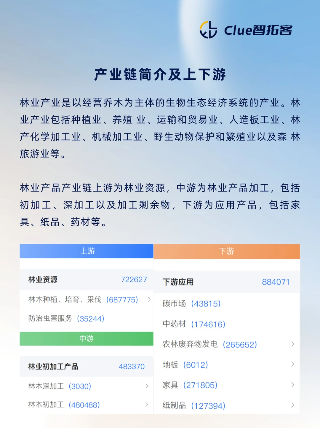 一天吃透一条产业链：林业产品