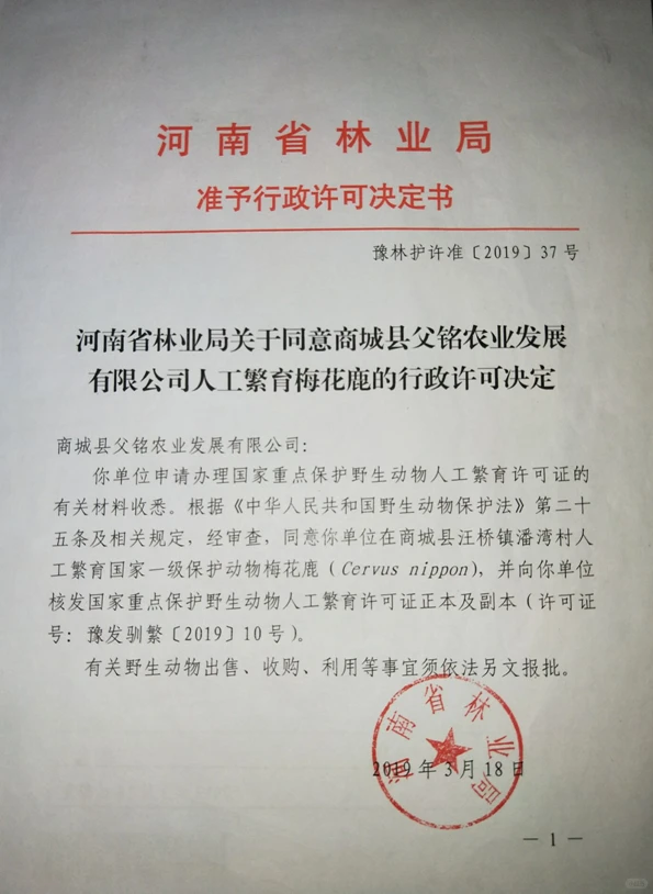 跌落神坛的梅花鹿茸