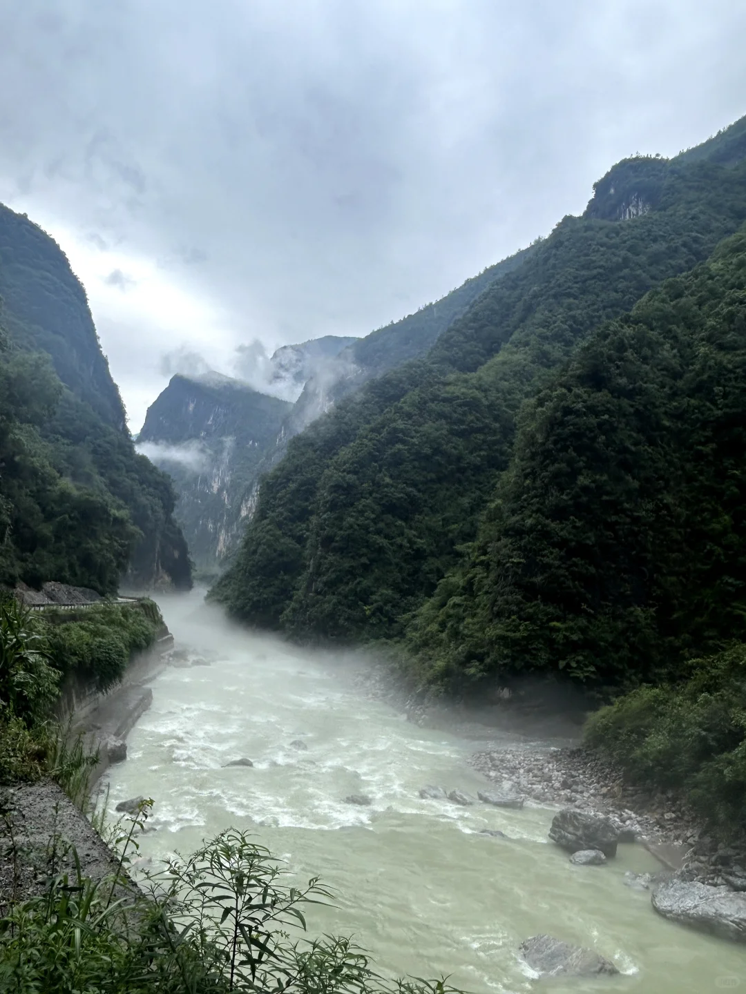 带你了解不一样的崖柏产区巫溪和城口料