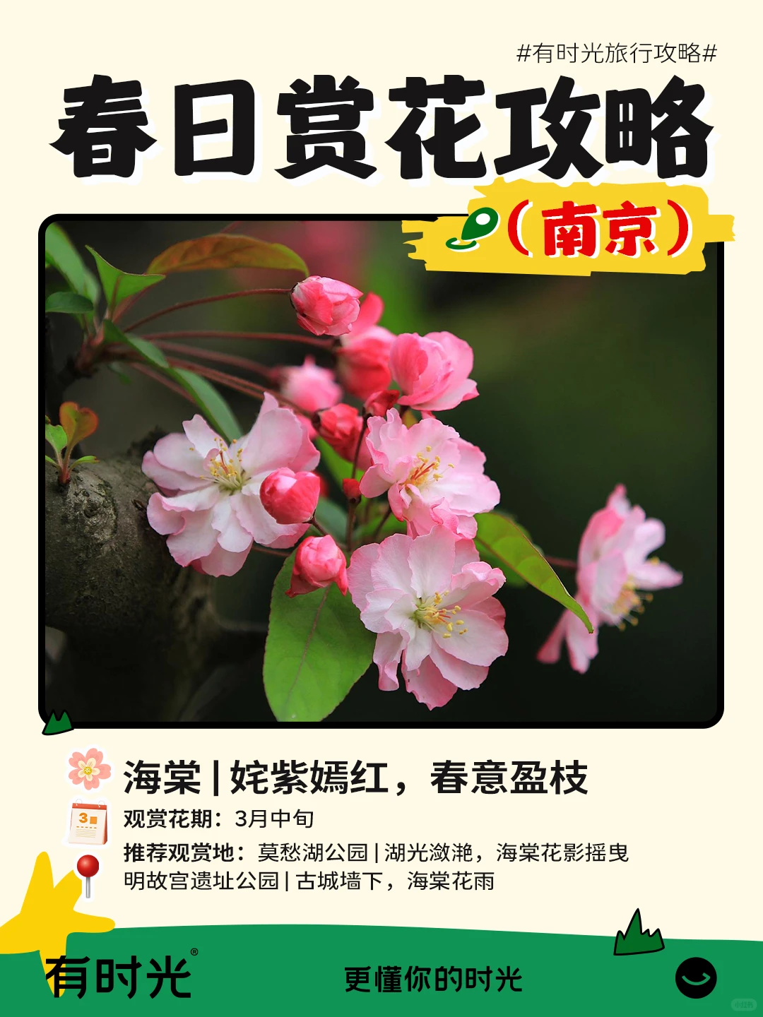 南京超全春日赏花攻略！附📍地点+时间表
