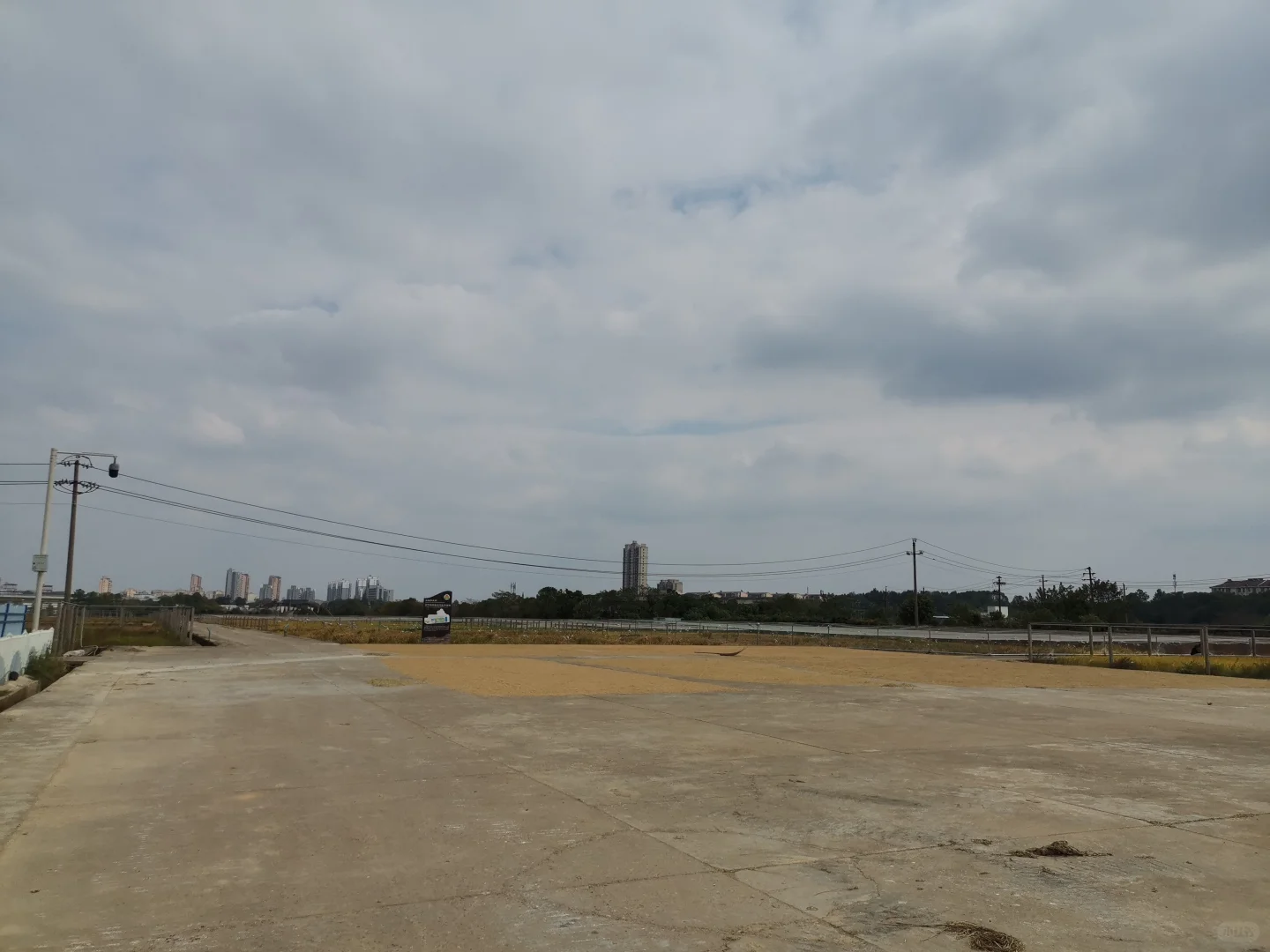 江西农业大学水稻田