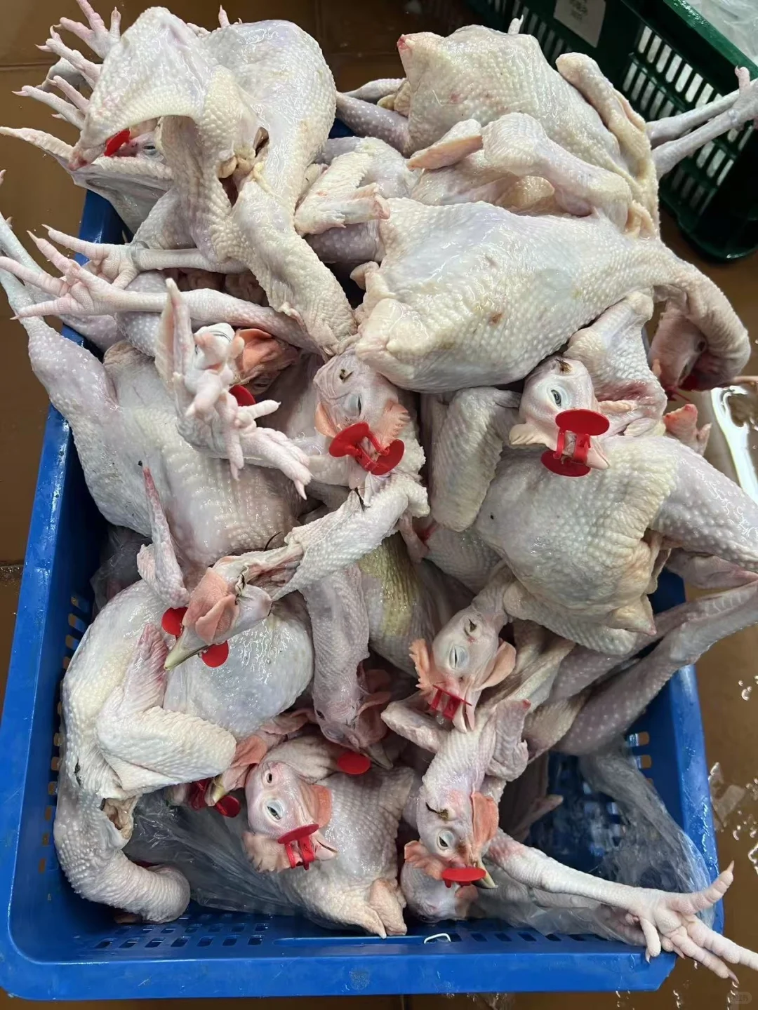 屠宰厂生鲜鸡直销！