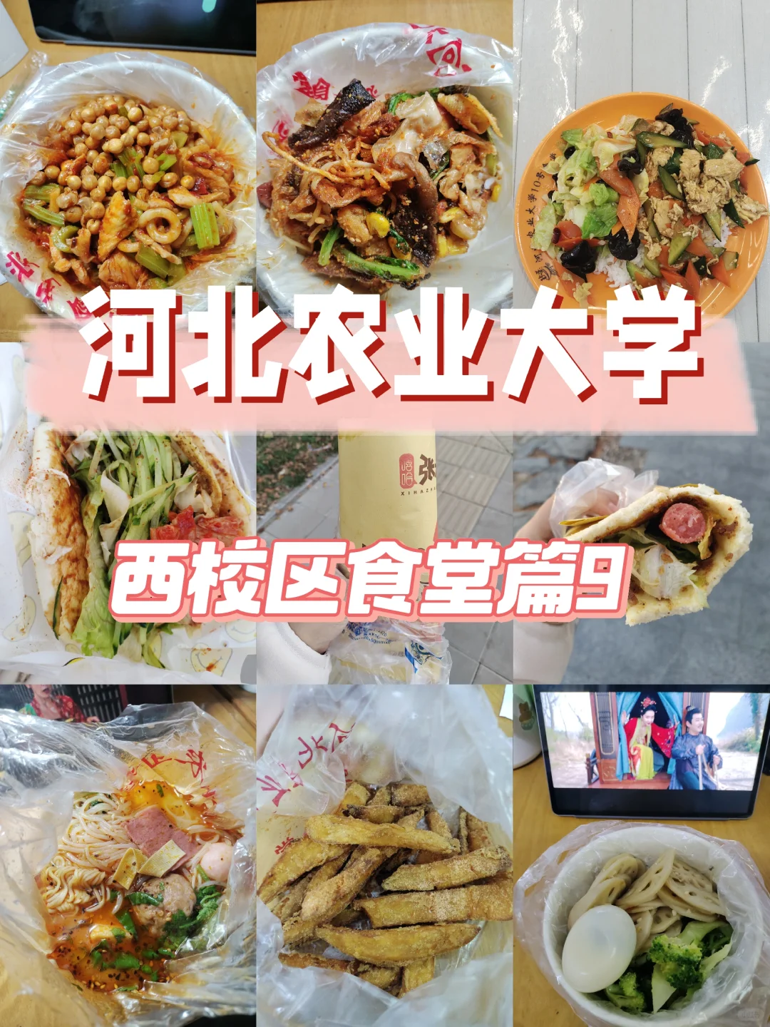 河北农业大学西校区食堂篇9