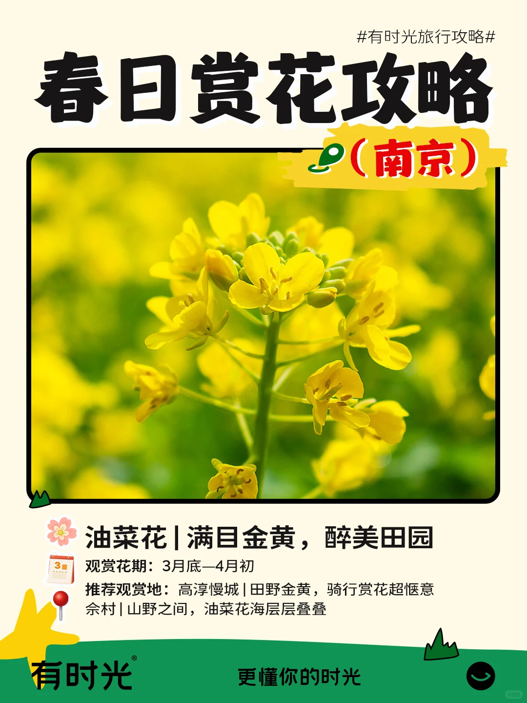 南京超全春日赏花攻略！附📍地点+时间表