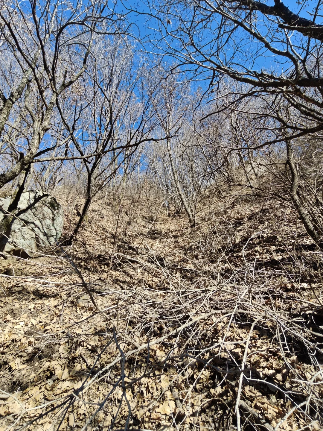 林学毕业工作环境