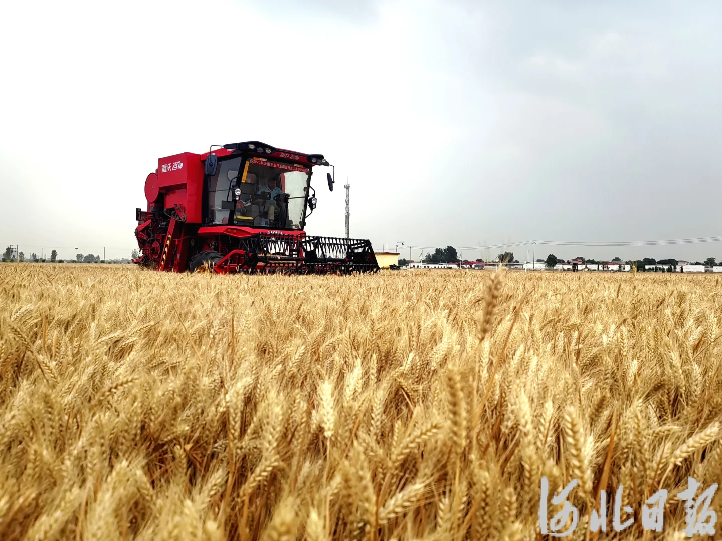科普栏目第十季（8）《河北农业》