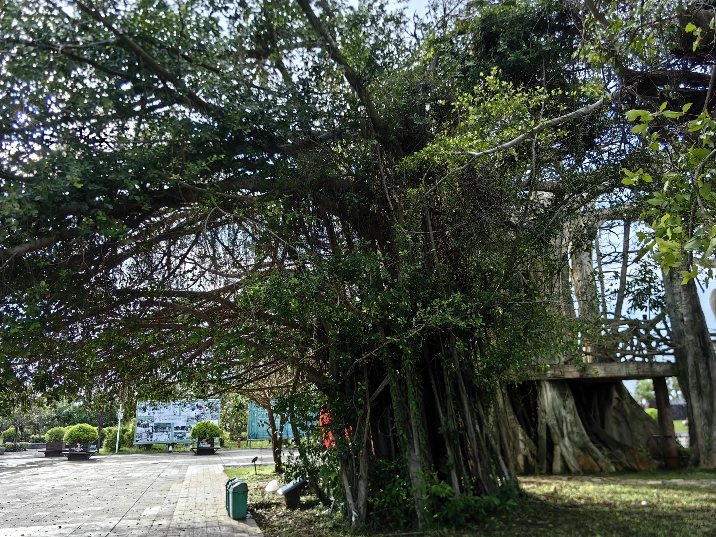 🌴桂林洋热带农业公园