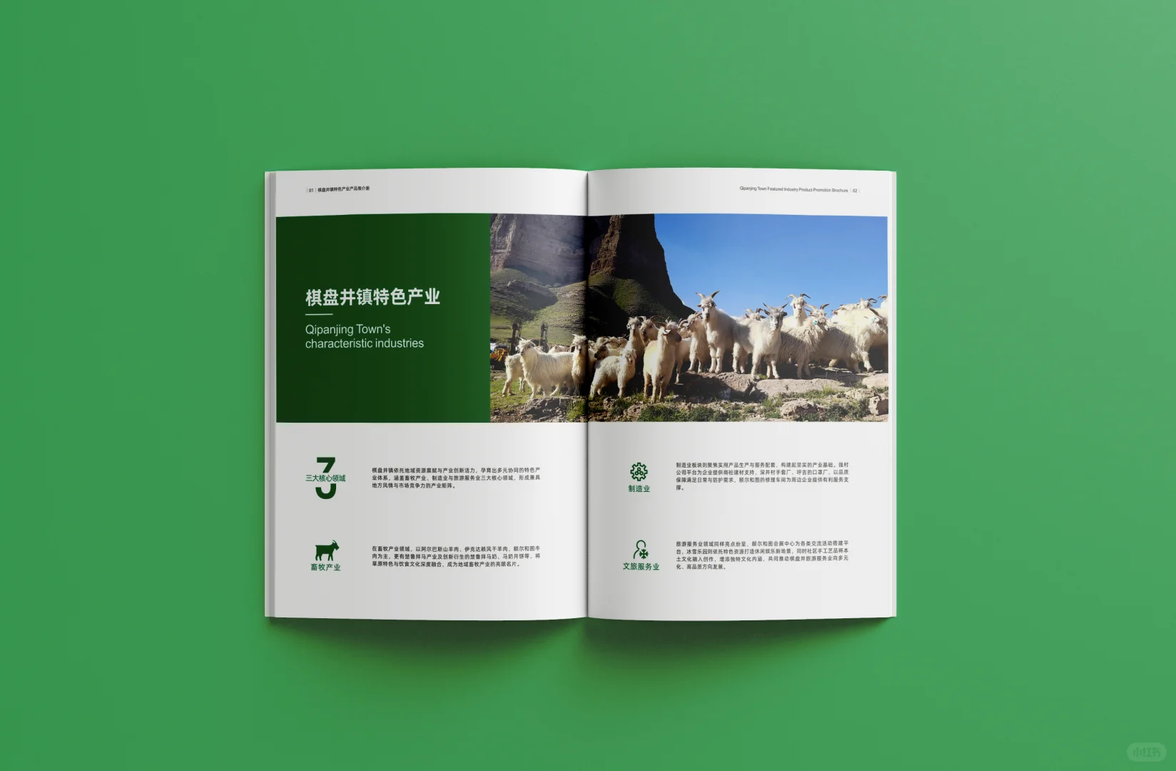 农产品畜牧业画册设计，高级简约宣传册定稿