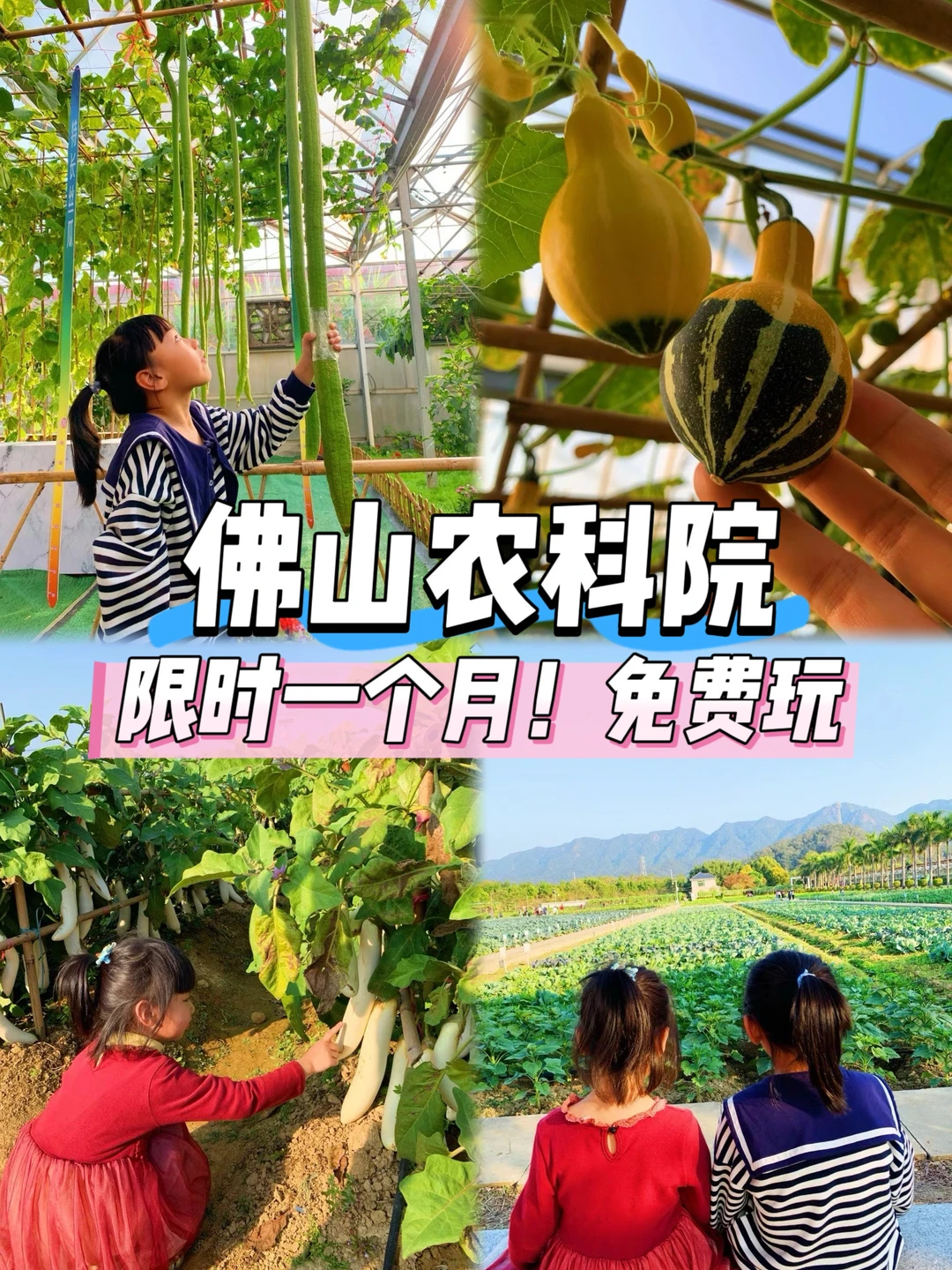 佛山农科院|限时免费开放❗最全攻略来啦