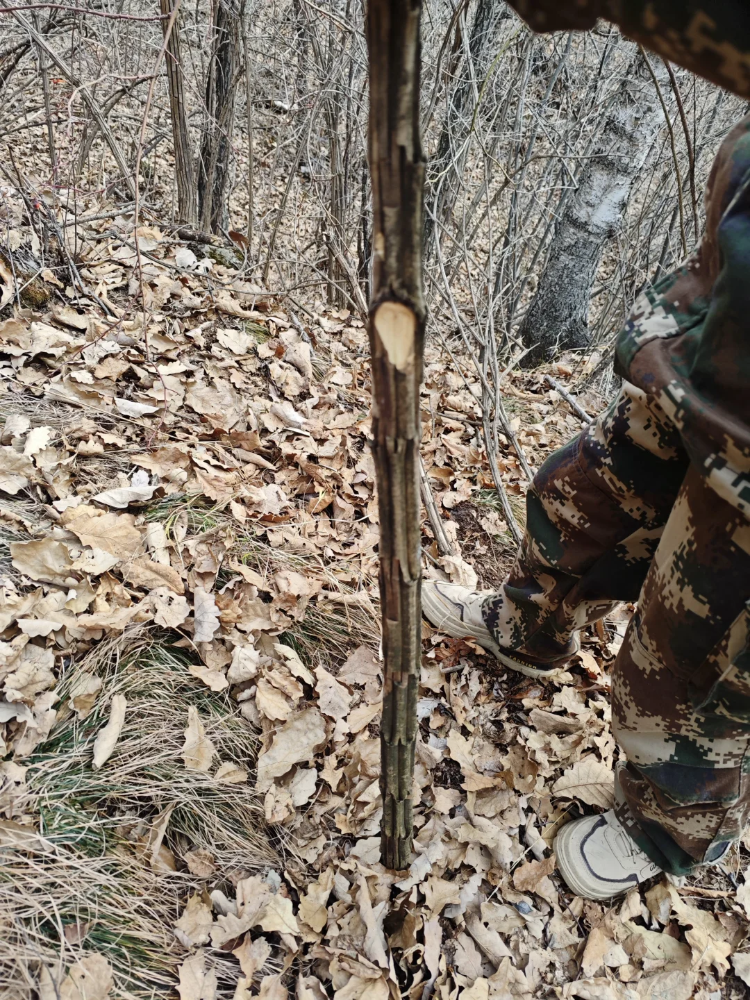 林学毕业工作环境