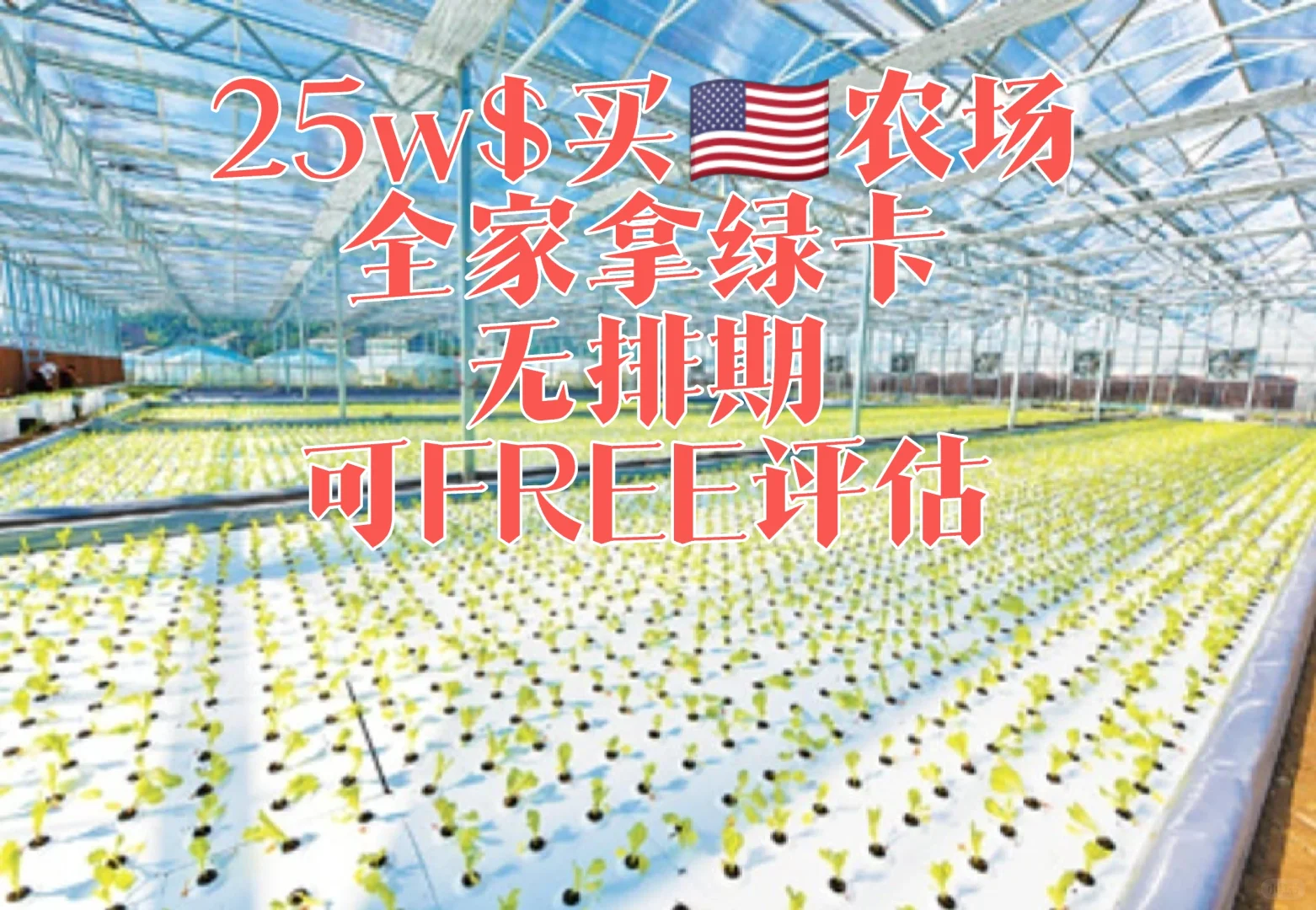 花25w🔪农业种值，全家拿美国绿卡