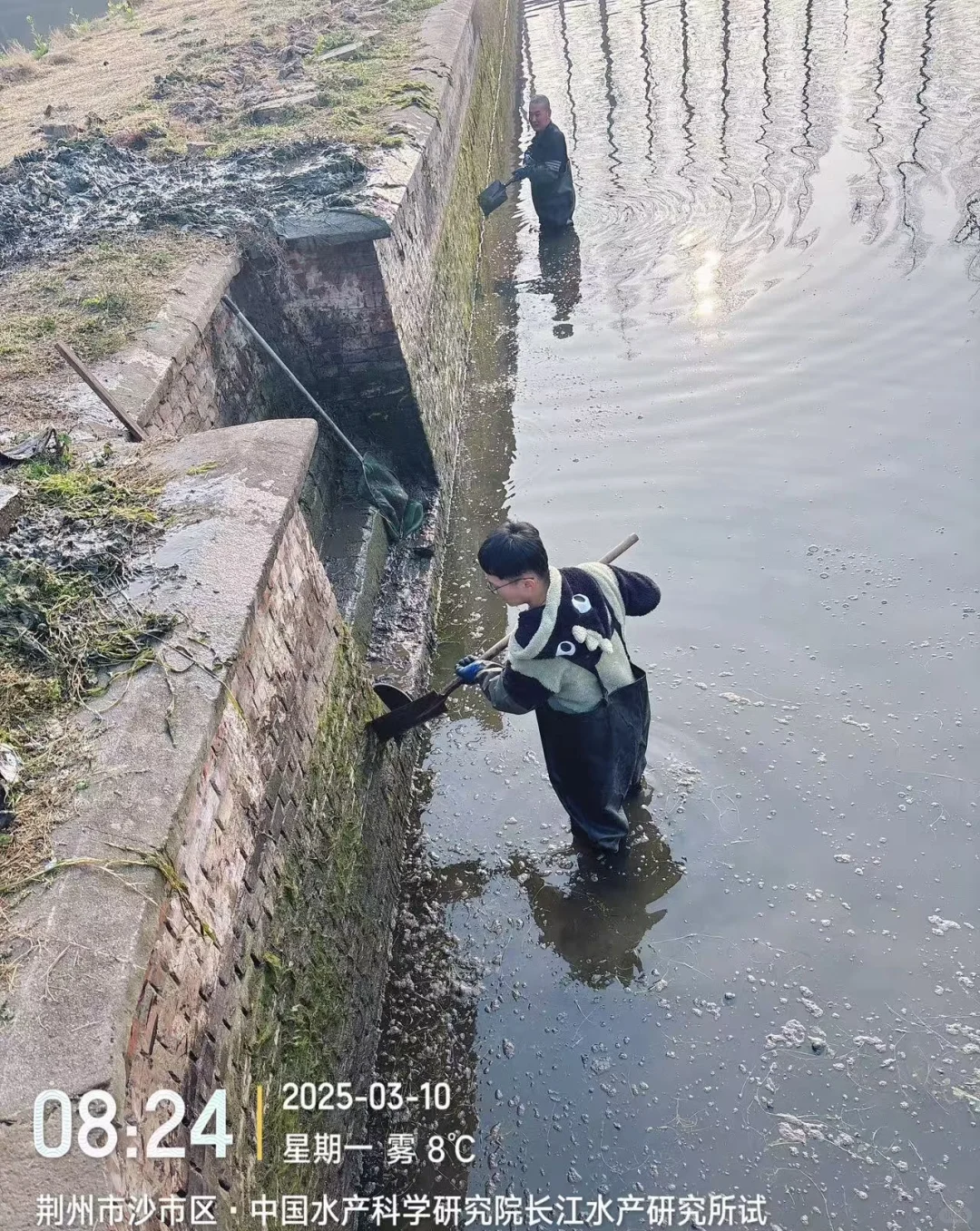 华农-长江所-水产联培生的一年四季🐟🕸️