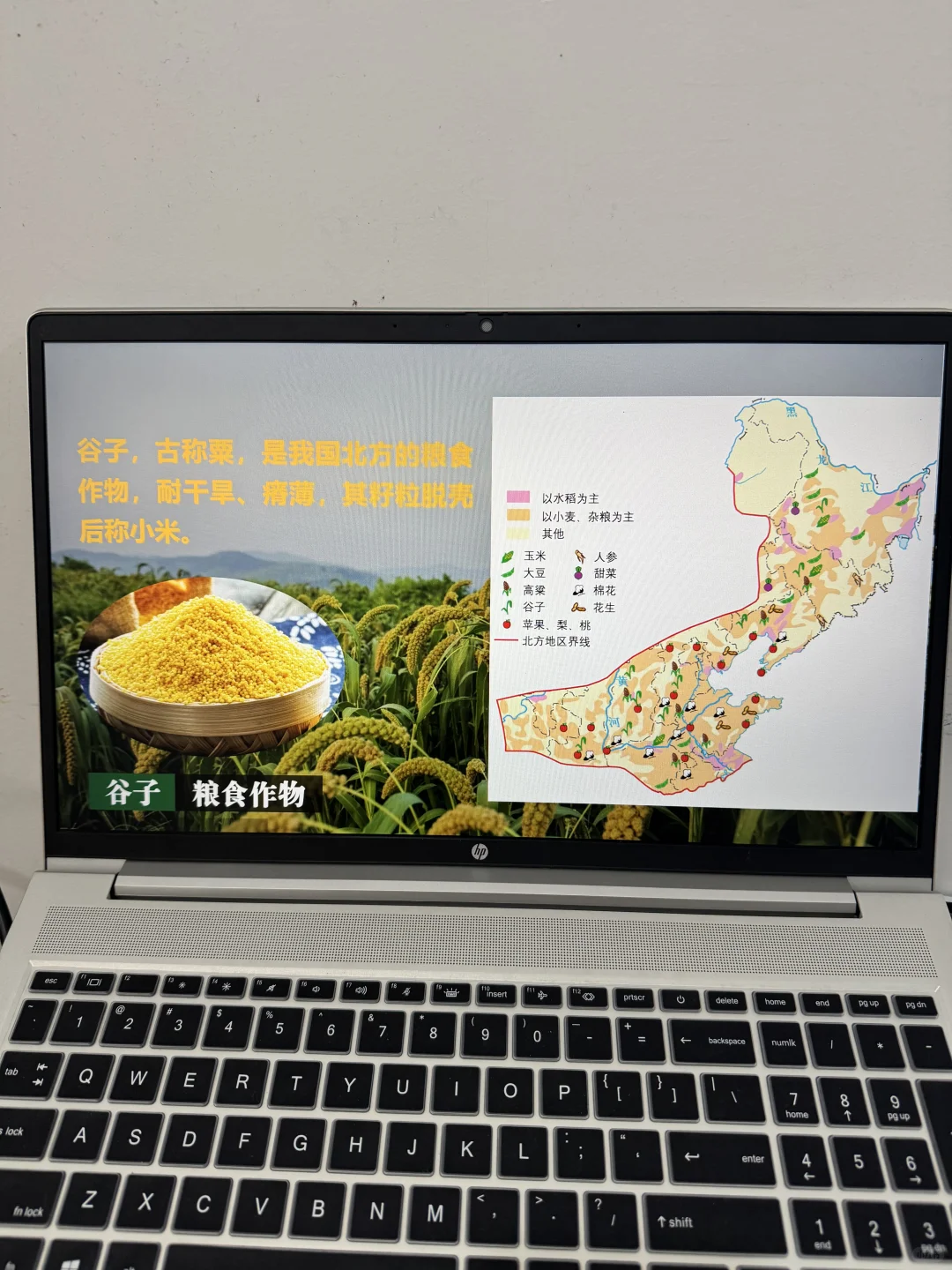 中国粮仓-探北方地区的自然特征与农业