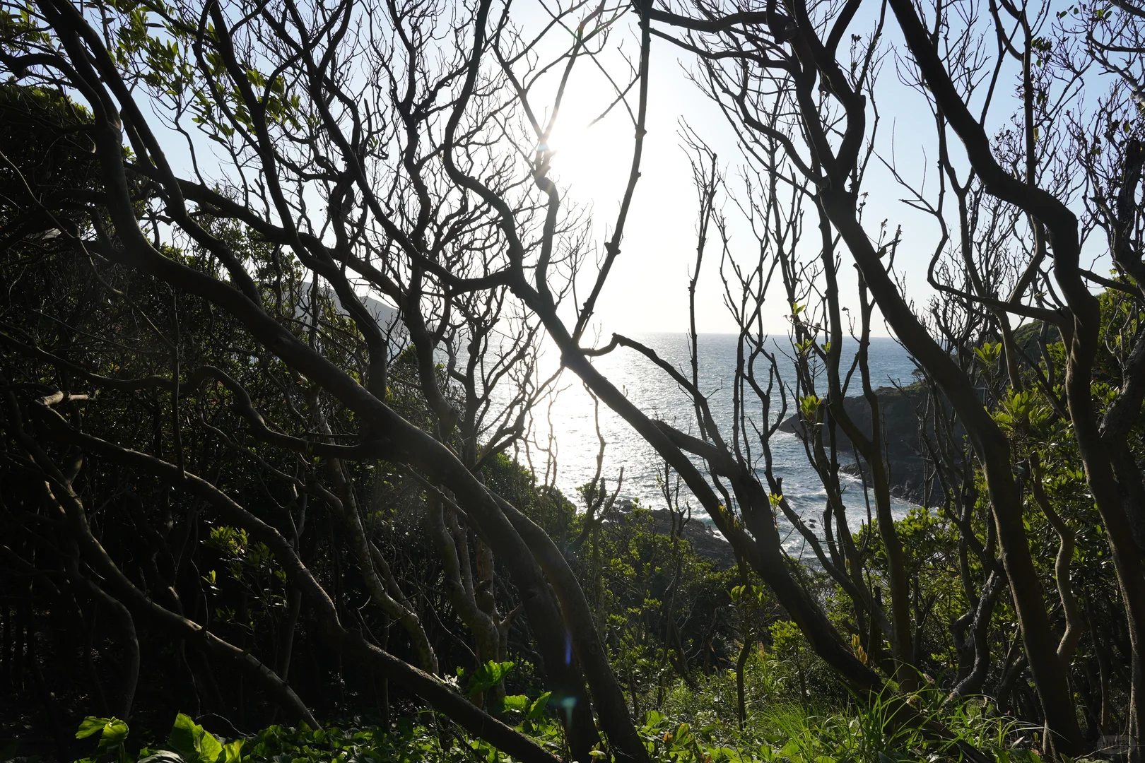 屋久岛景点--矢筈狱神社分享
