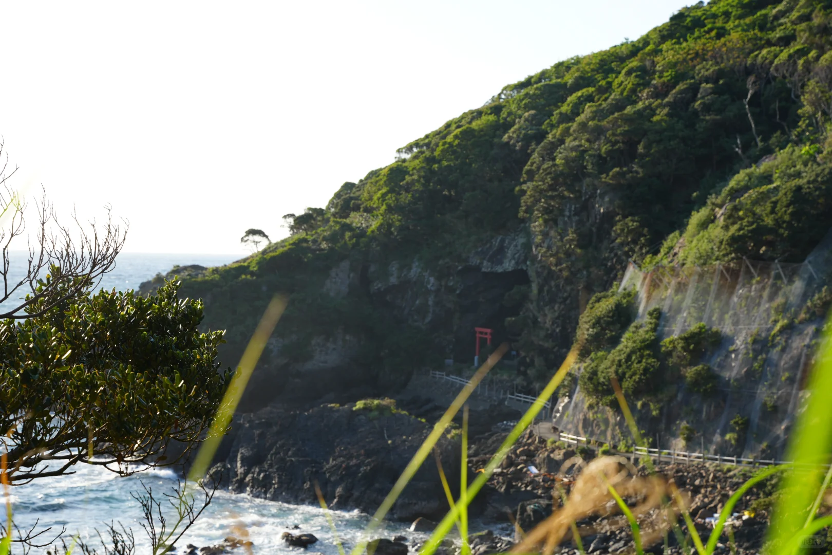屋久岛景点--矢筈狱神社分享