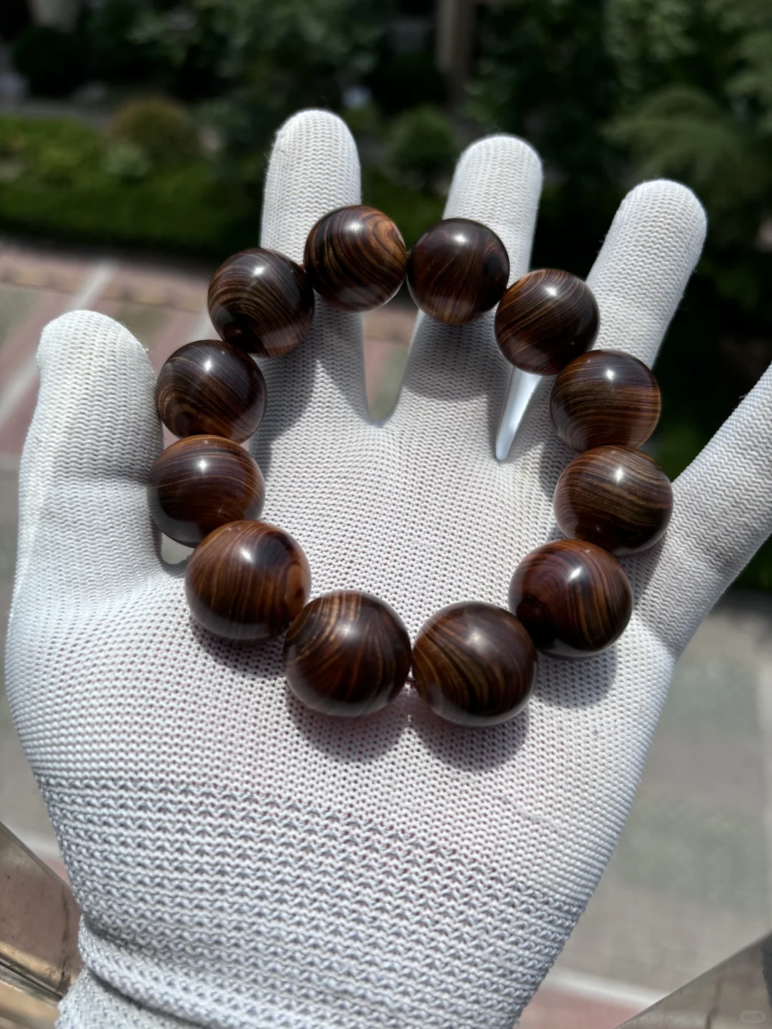 带你了解不一样的崖柏产区巫溪和城口料