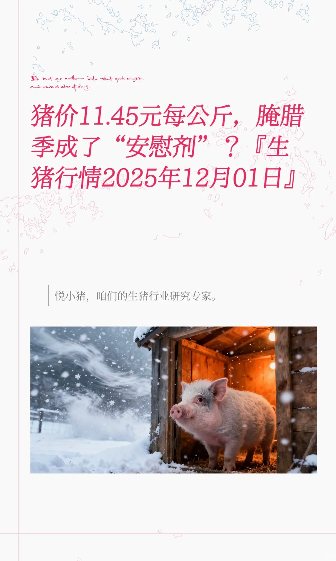 猪价11.45元每公斤，腌腊季成了“安慰剂”