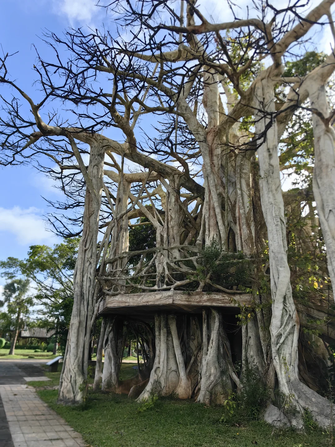 🌴桂林洋热带农业公园
