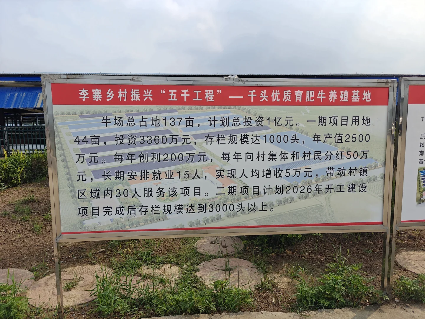 乡村振兴的“牛”故事 🐂✨****