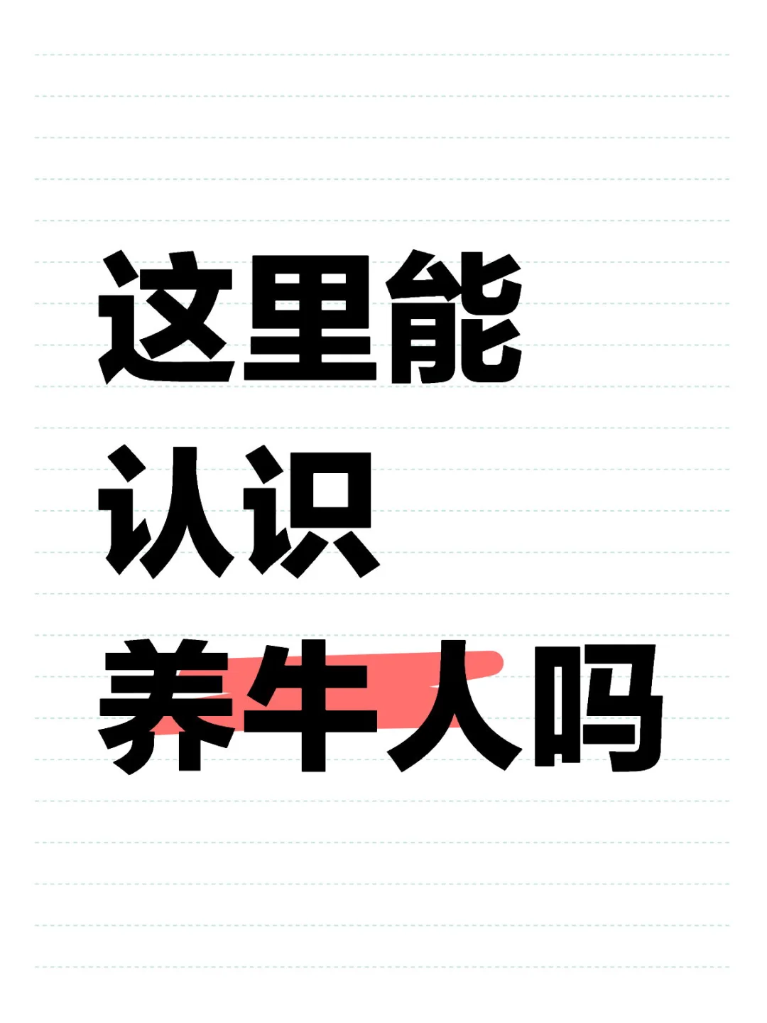 这里能认识养牛人吗