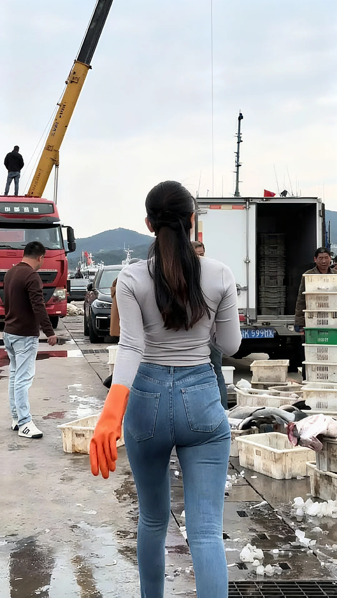 鱼港口真热闹，有去的吗？