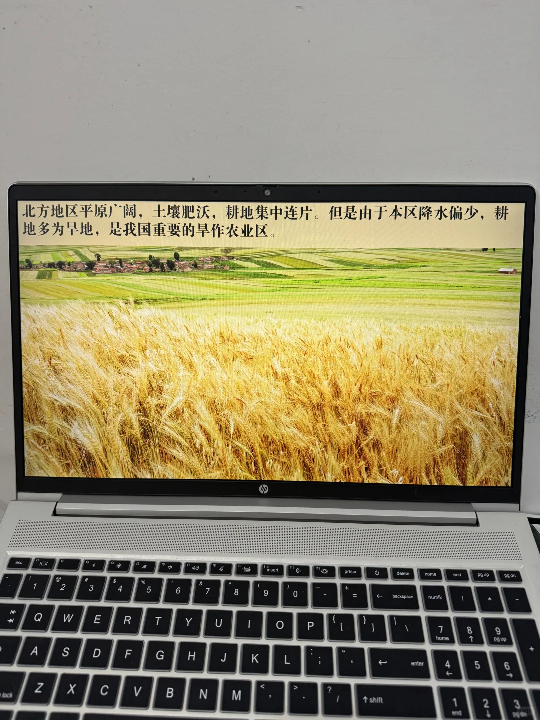 中国粮仓-探北方地区的自然特征与农业