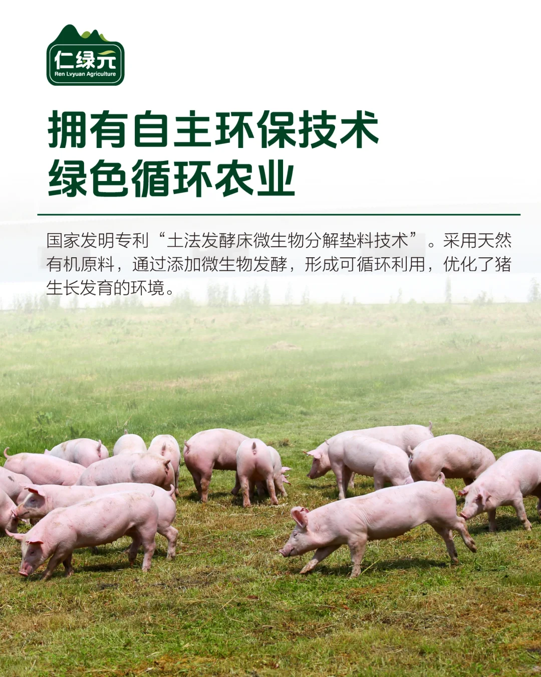 坚持16年绿色养殖理念