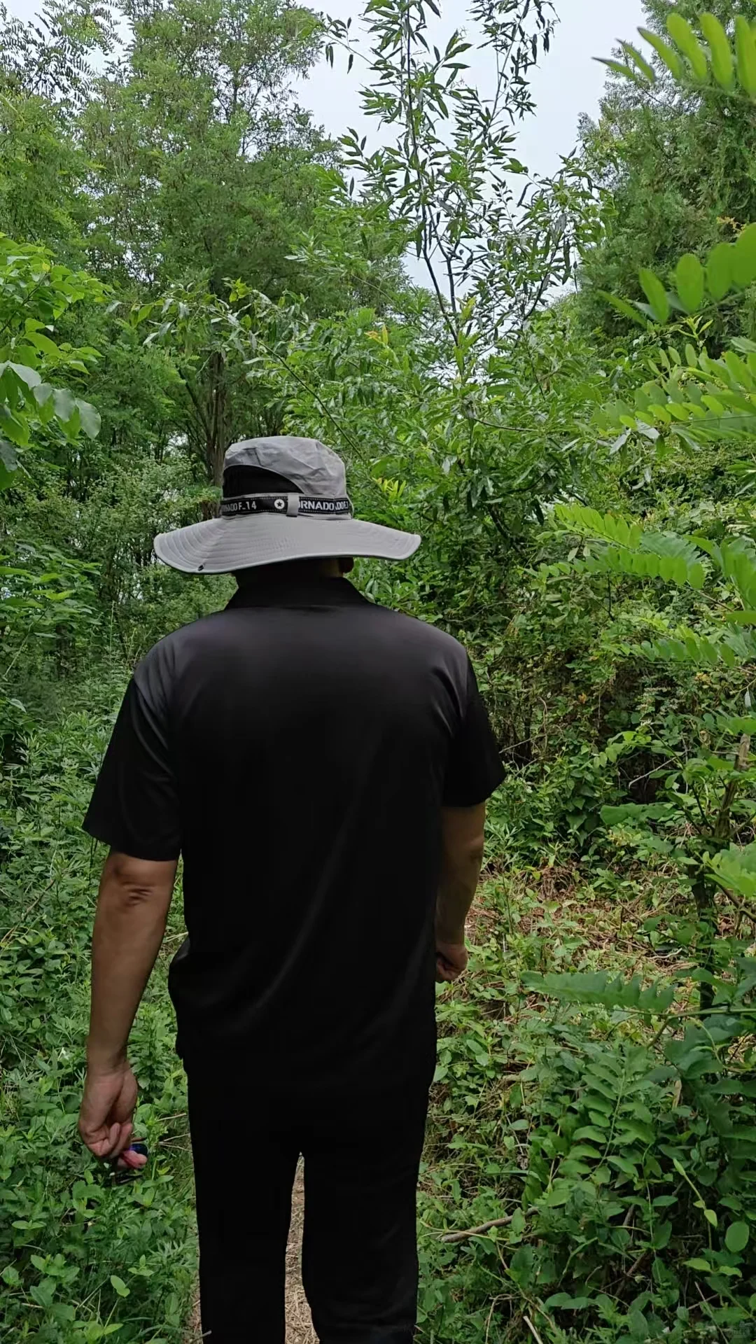 建设项目征占林地外业调查