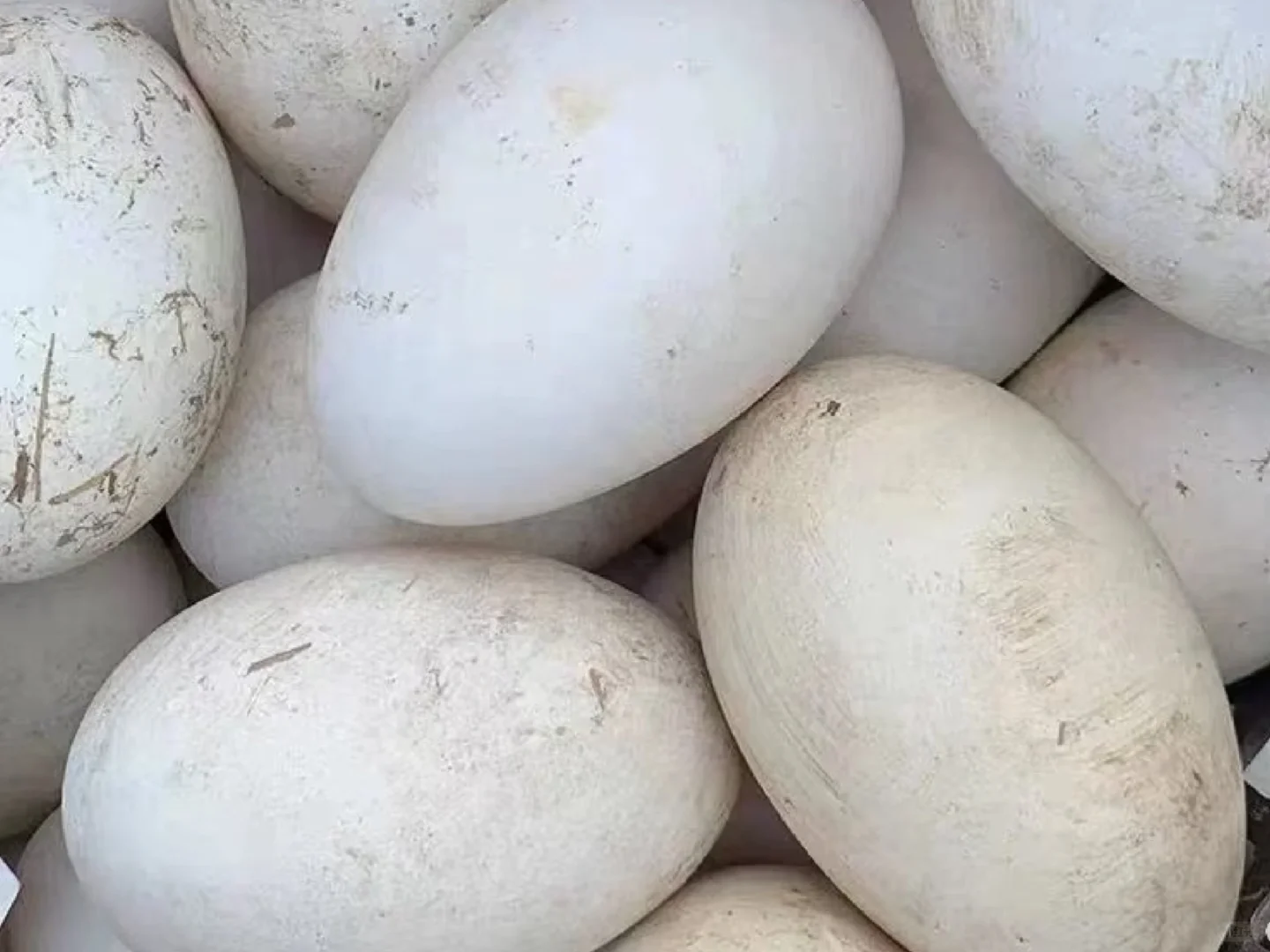 这应该是真正的土鹅蛋