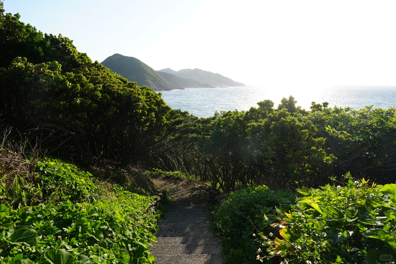 屋久岛景点--矢筈狱神社分享