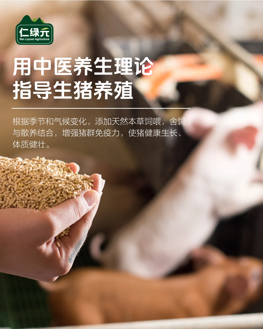 坚持16年绿色养殖理念