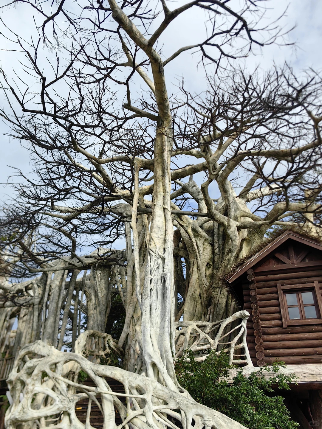 🌴桂林洋热带农业公园