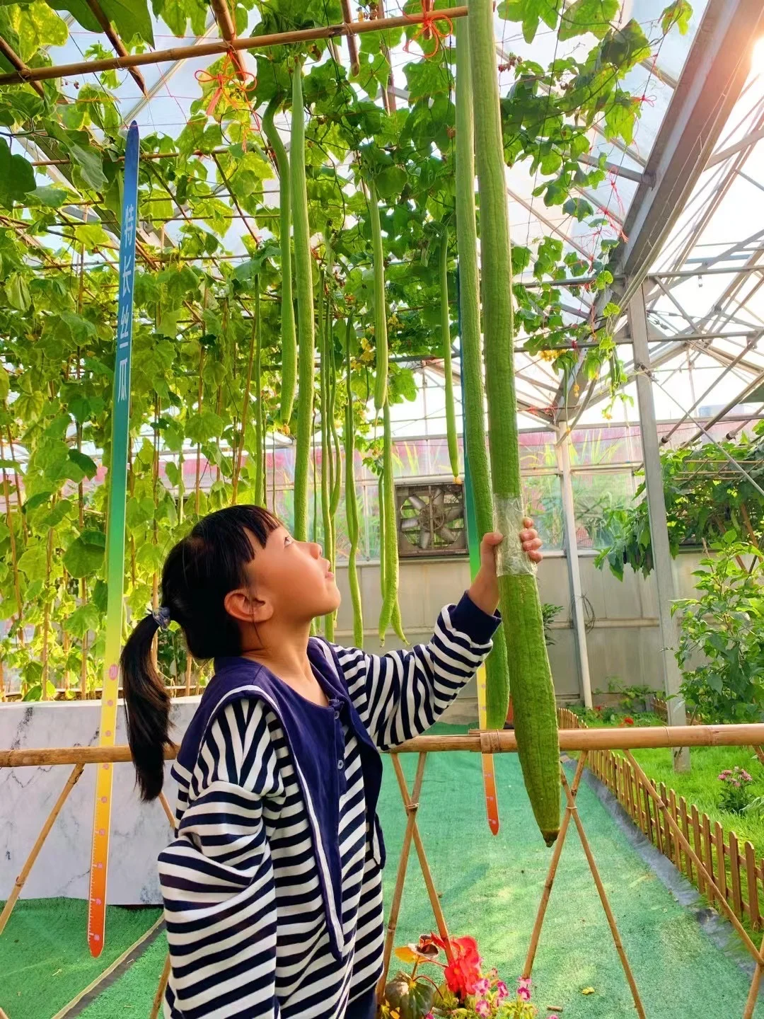 佛山农科院|限时免费开放❗最全攻略来啦