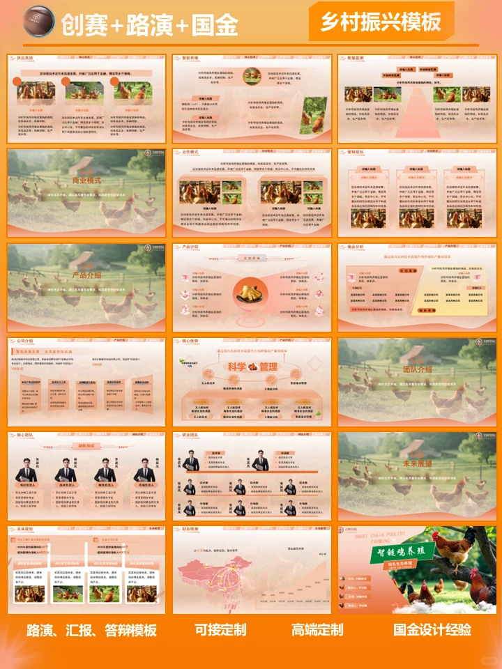 乡村振兴模板-禽养殖【上】
