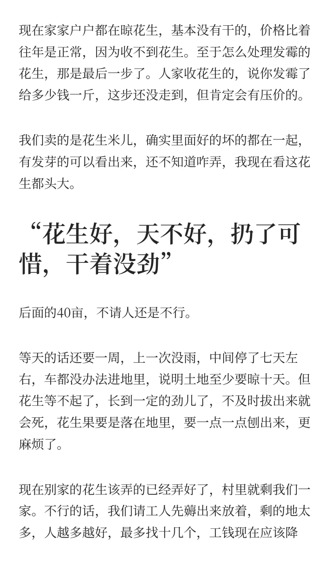 夏旱之后又秋涝，一位河南农户的花生抢收