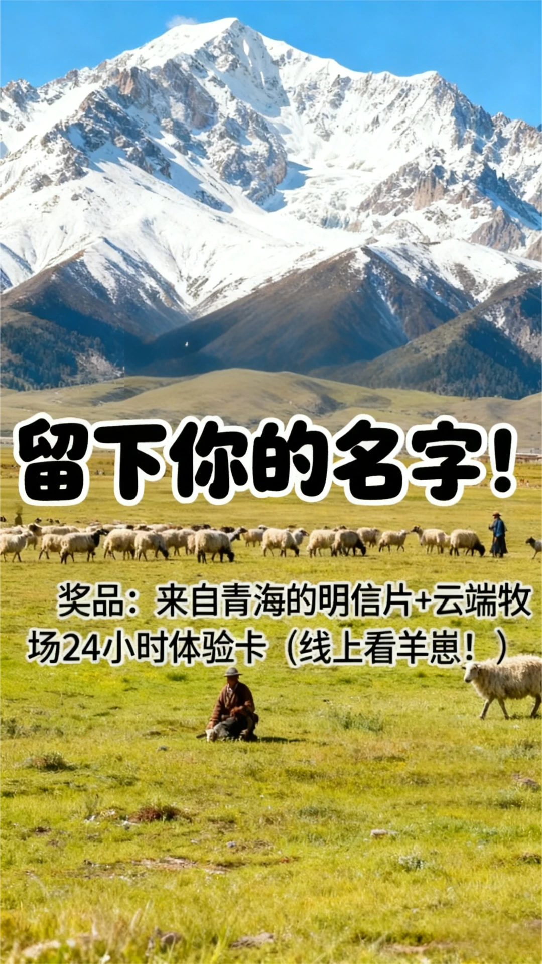 如果在青海认养一只羊，你想叫它啥名呢？