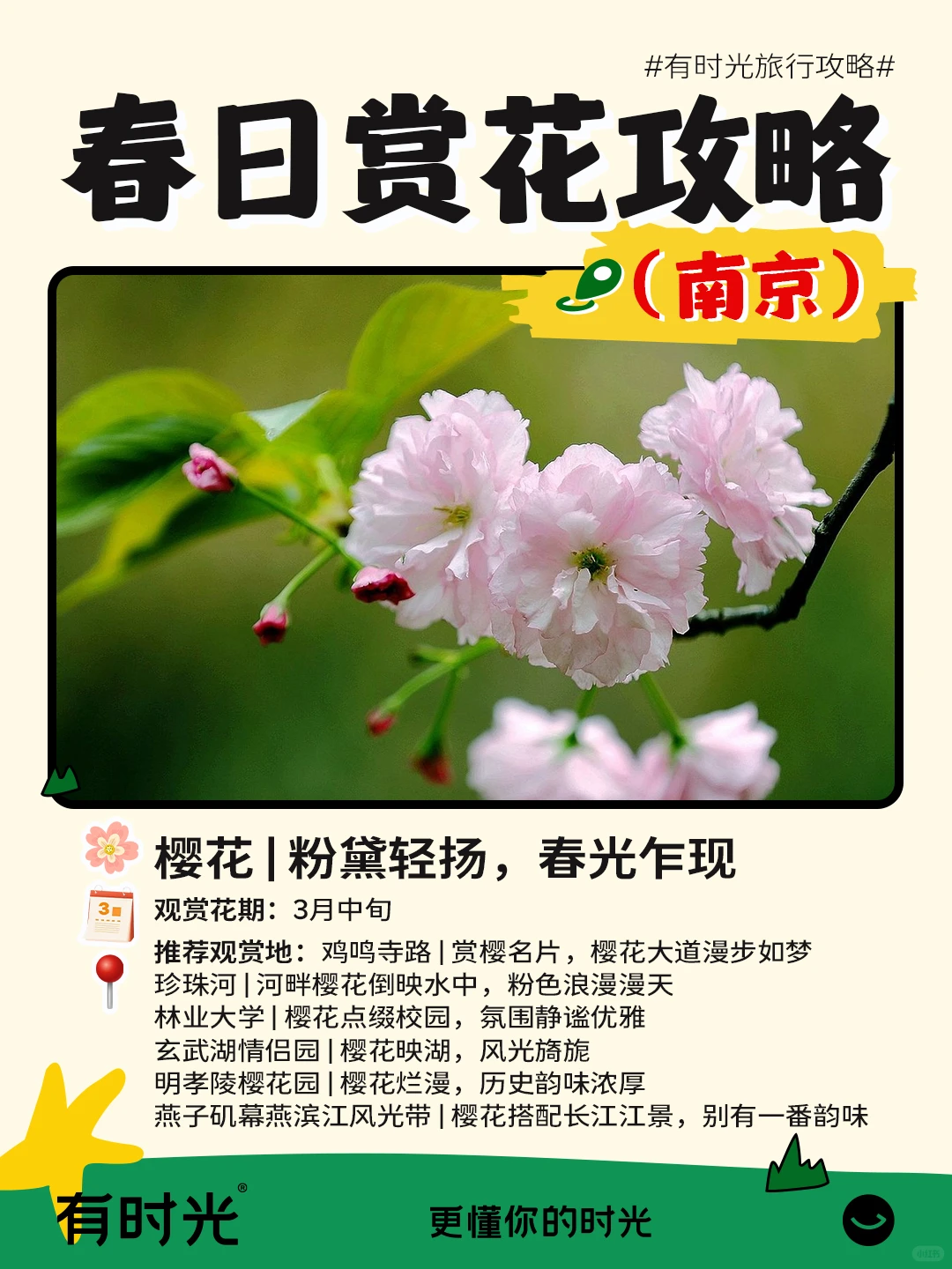 南京超全春日赏花攻略！附📍地点+时间表