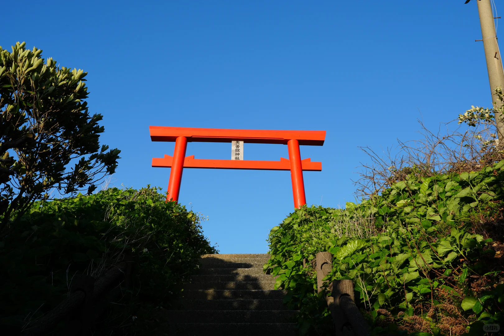 屋久岛景点--矢筈狱神社分享