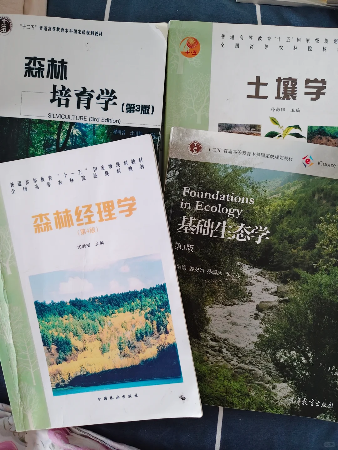 北京林业大学考研资料