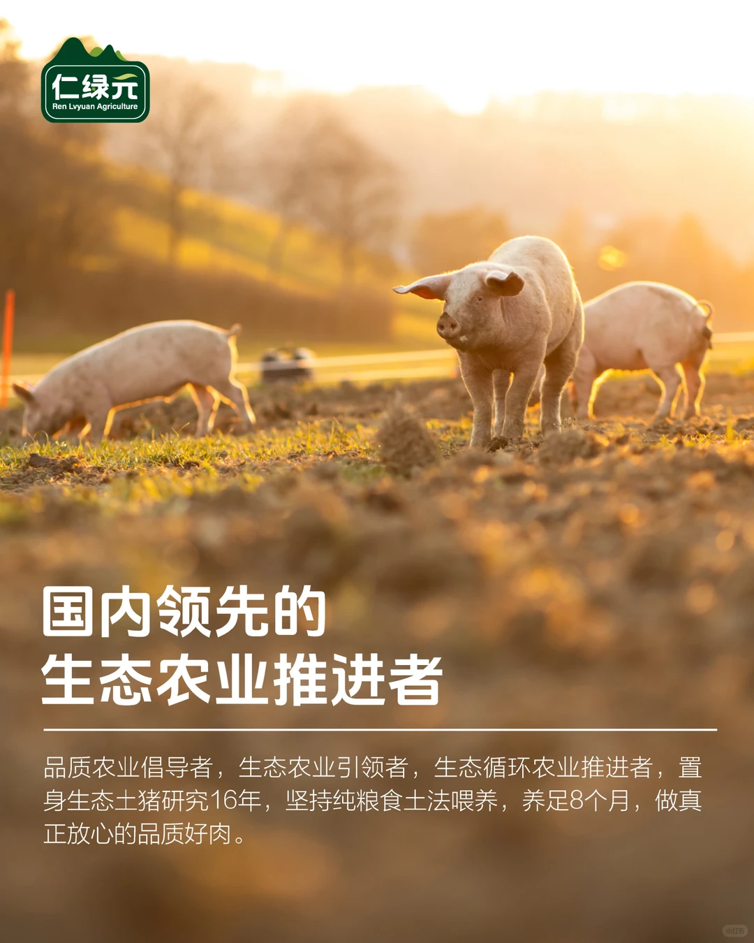 坚持16年绿色养殖理念