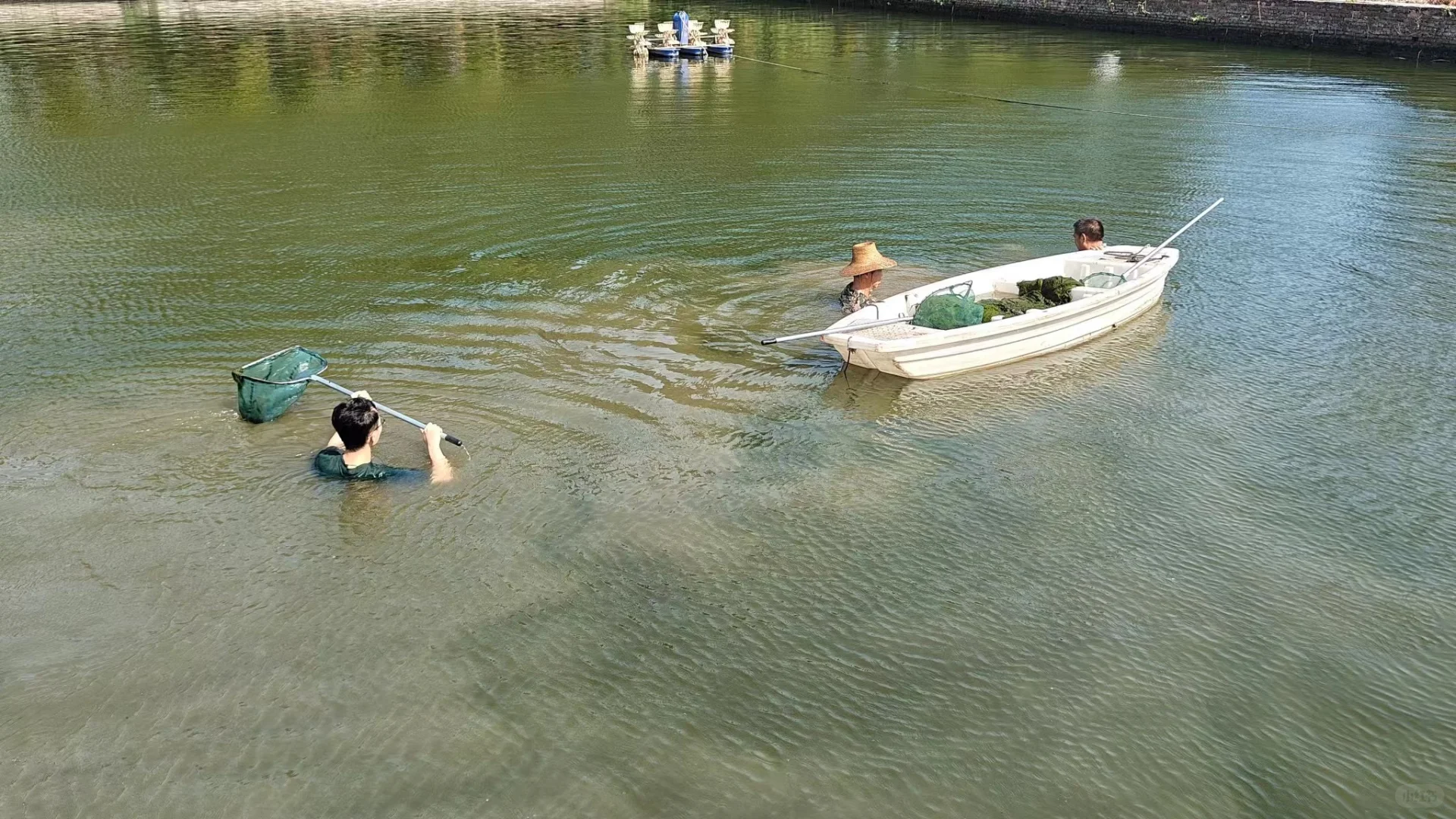 华农-长江所-水产联培生的一年四季🐟🕸️