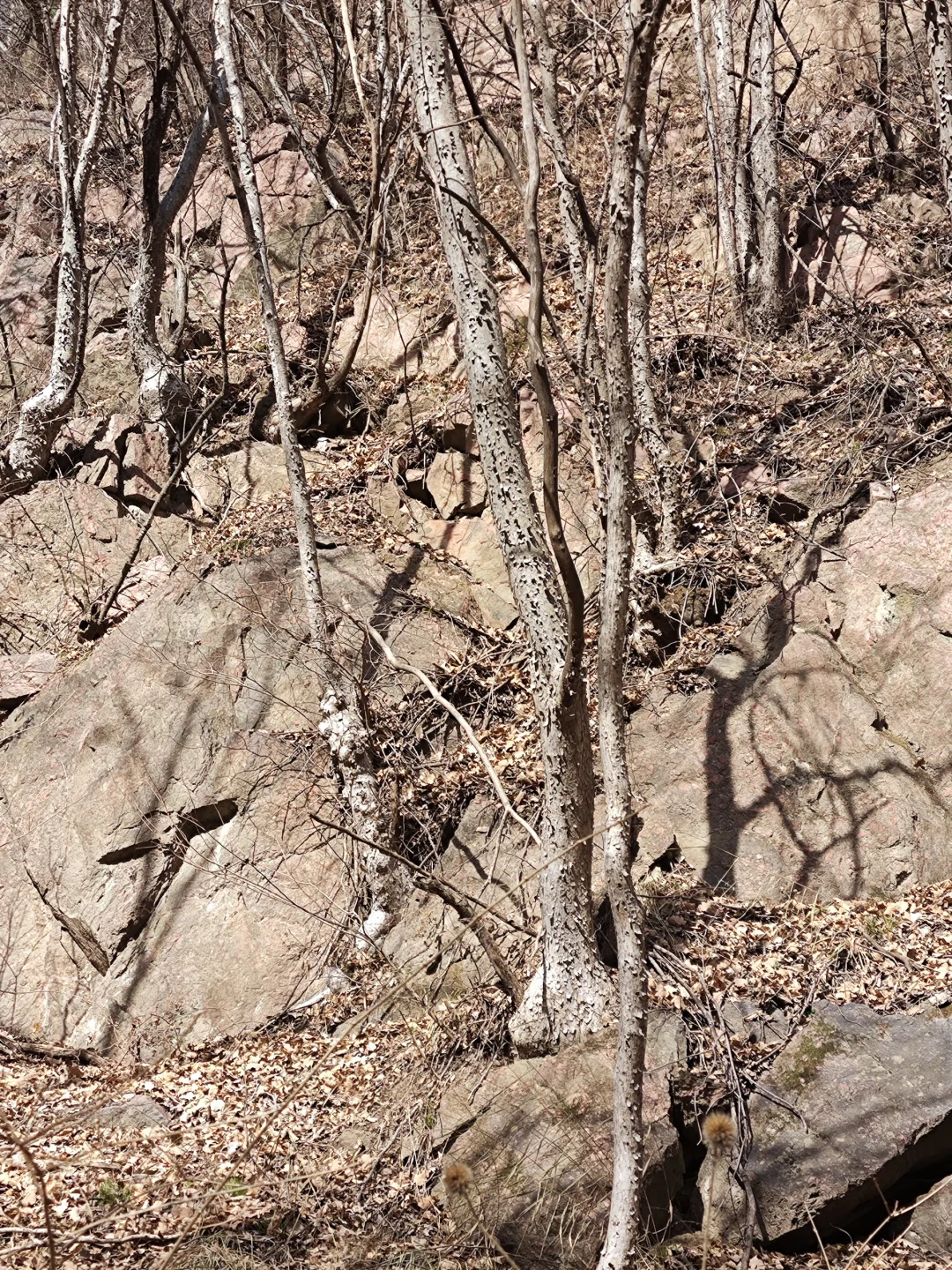 林学毕业工作环境