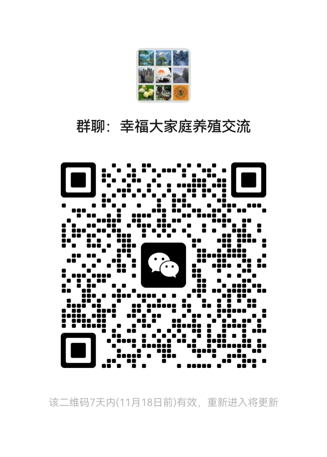 养殖的家人，欢迎交流